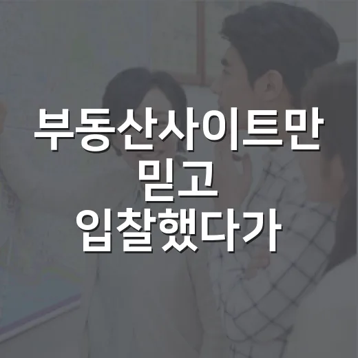 부동산사이트만 믿고 입찰했다가 현장에서 식은땀 난 이야기 - 요약