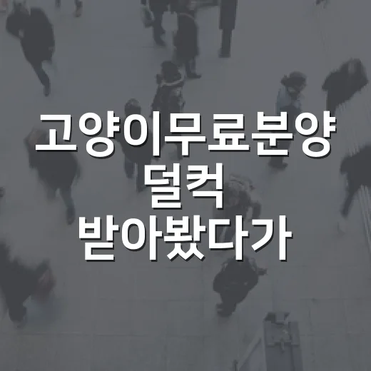 고양이무료분양 덜컥 받아봤다가 병원비 계산서 보고 정신 번쩍 난 이야기 - 요약