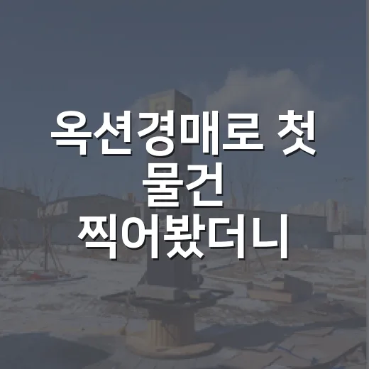 옥션경매로 첫 물건 찍어봤더니, 진짜 돈 잃는 지점은 따로 있었습니다 - 요약