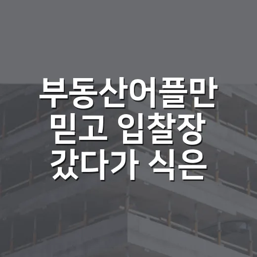 부동산어플만 믿고 입찰장 갔다가 식은땀 난 이야기 - 요약
