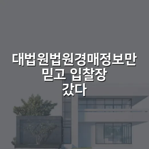 대법원법원경매정보만 믿고 입찰장 갔다가 식은땀 난 이야기 - 요약