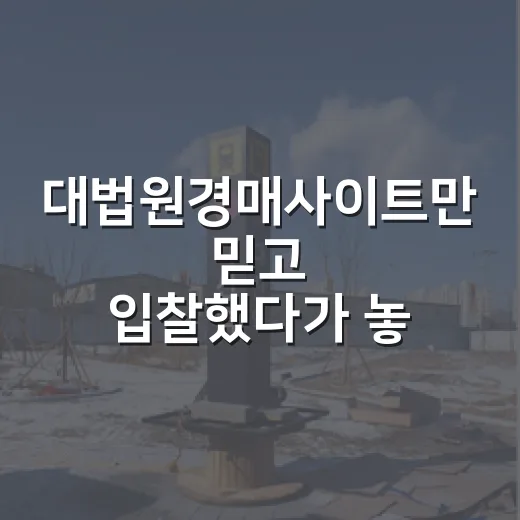 대법원경매사이트만 믿고 입찰했다가 놓친 것들, 현장에서 직접 겪은 이야기 - 요약
