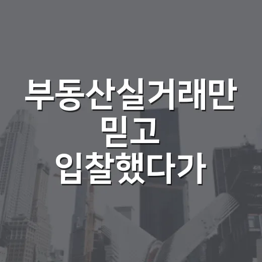부동산실거래만 믿고 입찰했다가 현장에서 식은땀 난 이야기 - 요약