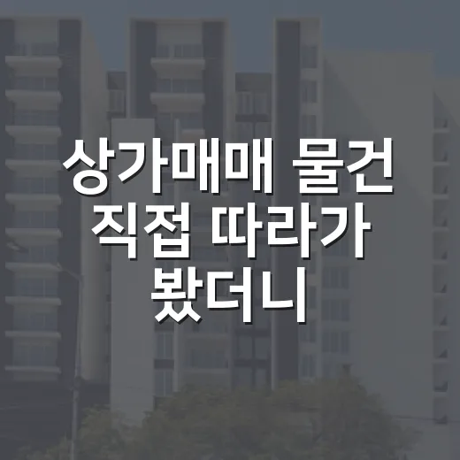 상가매매 물건 직접 따라가 봤더니, 숫자보다 먼저 보인 것들 - 요약