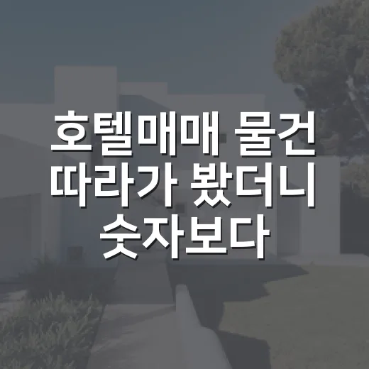 호텔매매 물건 따라가 봤더니 숫자보다 객실 냄새가 먼저 말하더라 - 요약