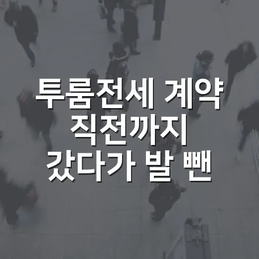 투룸전세 계약 직전까지 갔다가 발 뺀 진짜 이유 - 요약