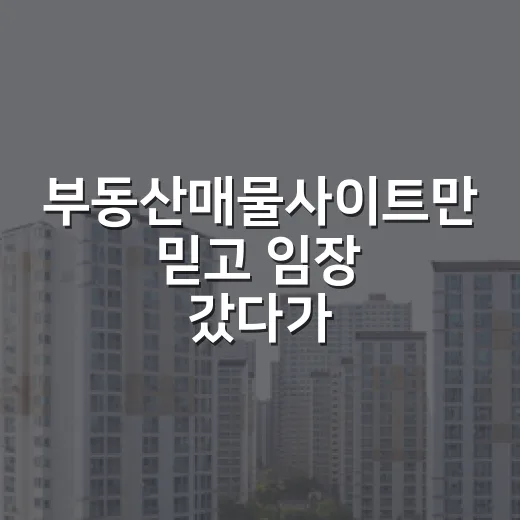 부동산매물사이트만 믿고 임장 갔다가 허탕 친 날의 진짜 이야기 - 요약