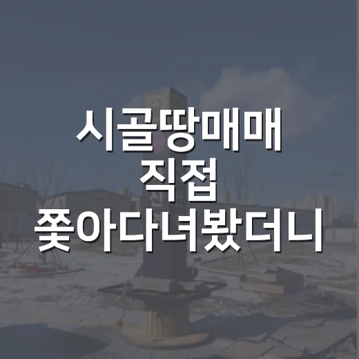 시골땅매매 직접 쫓아다녀봤더니, 싼 땅보다 무서운 건 따로 있었습니다 - 요약