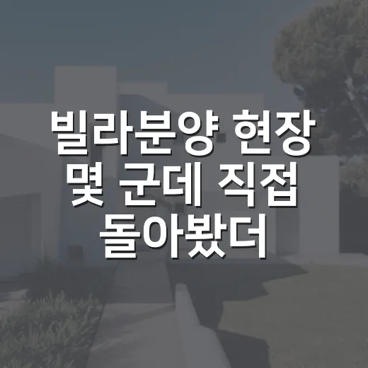 빌라분양 현장 몇 군데 직접 돌아봤더니 초보가 놓치는 게 보였습니다 - 요약
