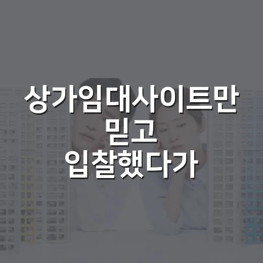상가임대사이트만 믿고 입찰했다가 현장에서 식은땀 난 이야기 - 요약