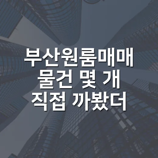 부산원룸매매 물건 몇 개 직접 까봤더니 숫자보다 먼저 보이던 것들 - 요약
