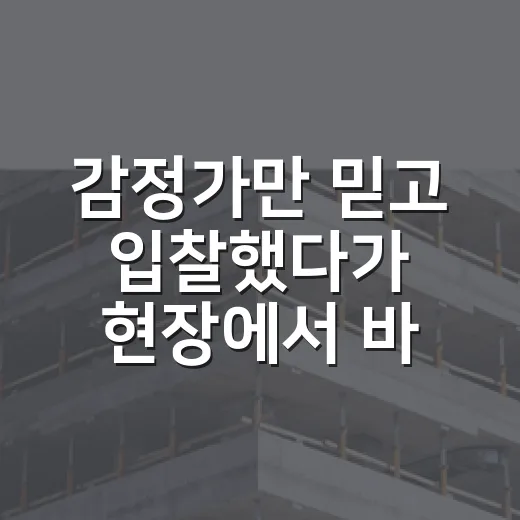 감정가만 믿고 입찰했다가 현장에서 바로 발 뺀 이야기 - 요약