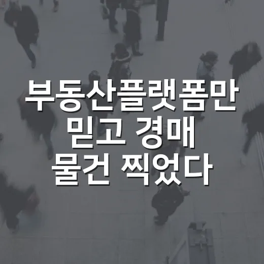 부동산플랫폼만 믿고 경매 물건 찍었다가 현장에서 식은땀 난 이야기 - 요약
