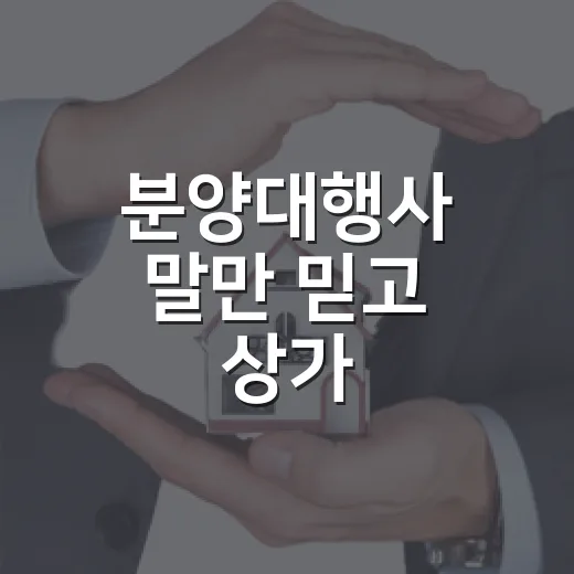 분양대행사 말만 믿고 상가 계약했다가 법원에서 다시 본 진짜 이야기 - 요약