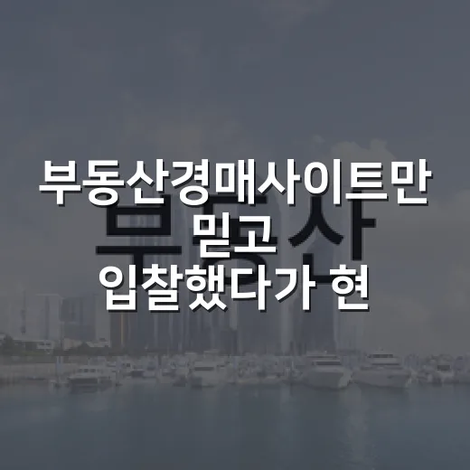 부동산경매사이트만 믿고 입찰했다가 현장에서 배운 진짜 이야기 - 요약