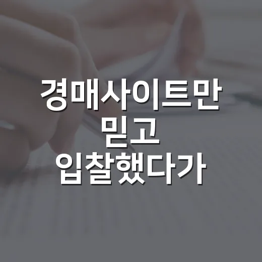 경매사이트만 믿고 입찰했다가 현장에서 식은땀 흘린 이야기 - 요약