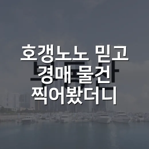 호갱노노 믿고 경매 물건 찍어봤더니 현장에서 달라 보인 것들 - 요약