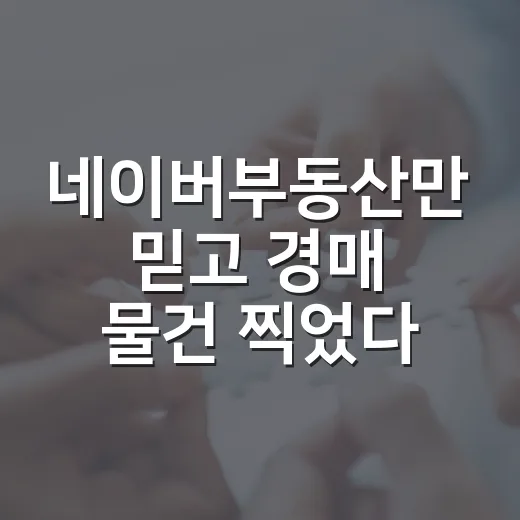 네이버부동산만 믿고 경매 물건 찍었다가 현장에서 식은땀 난 이야기 - 요약