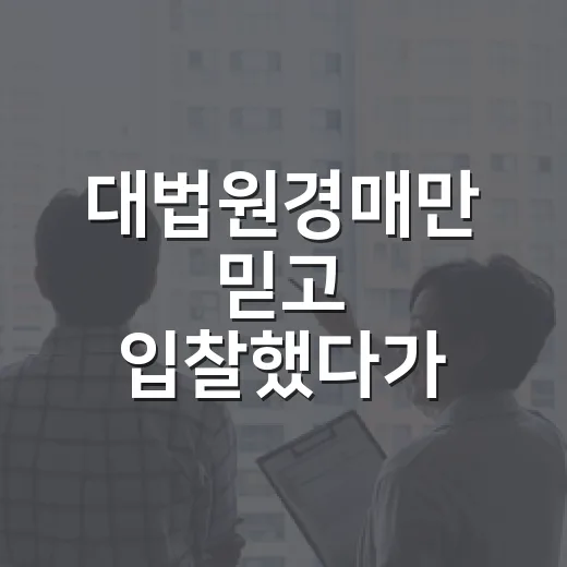 대법원경매만 믿고 입찰했다가 현장에서 식은땀 난 이야기 - 요약