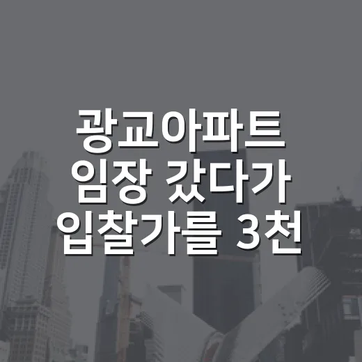 광교아파트 임장 갔다가 입찰가를 3천 낮춘 진짜 이유 - 요약