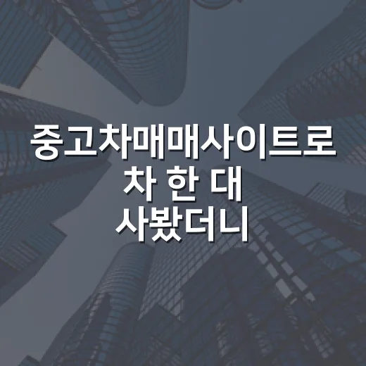 중고차매매사이트로 차 한 대 사봤더니, 경매 물건 보는 눈이 그대로 통했습니다 - 요약