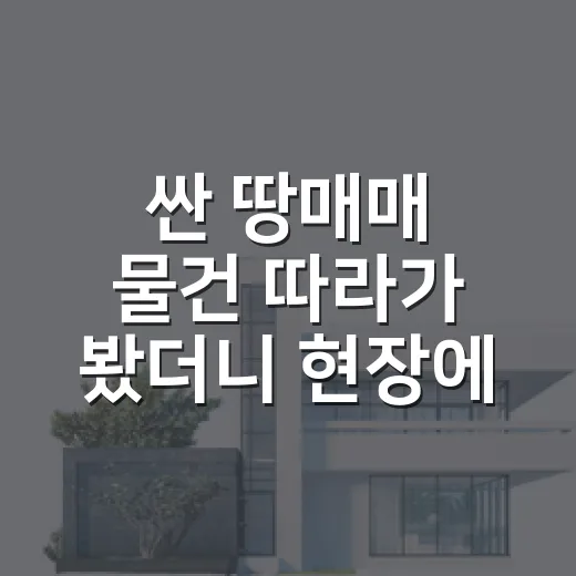 싼 땅매매 물건 따라가 봤더니 현장에서 바로 식은 이유 - 요약