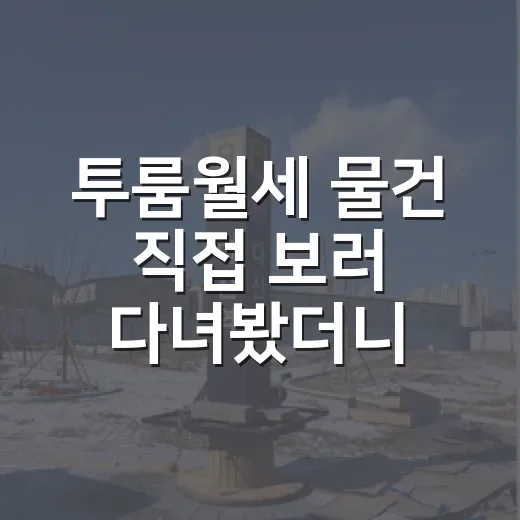 투룸월세 물건 직접 보러 다녀봤더니, 숫자보다 냄새가 먼저 말해줬습니다 - 요약