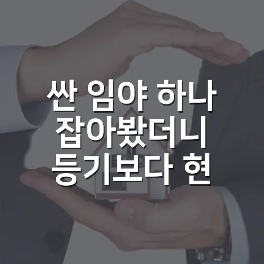 싼 임야 하나 잡아봤더니 등기보다 현장이 먼저 말해줬습니다 - 요약