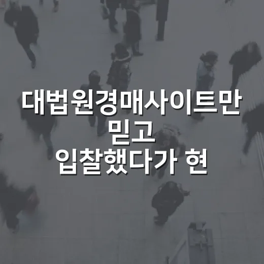 대법원경매사이트만 믿고 입찰했다가 현장에서 식은땀 난 이야기 - 요약