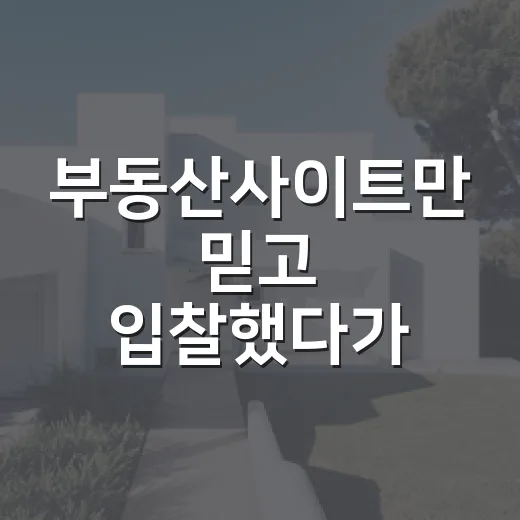 부동산사이트만 믿고 입찰했다가 현장에서 식은땀 난 이야기 - 요약
