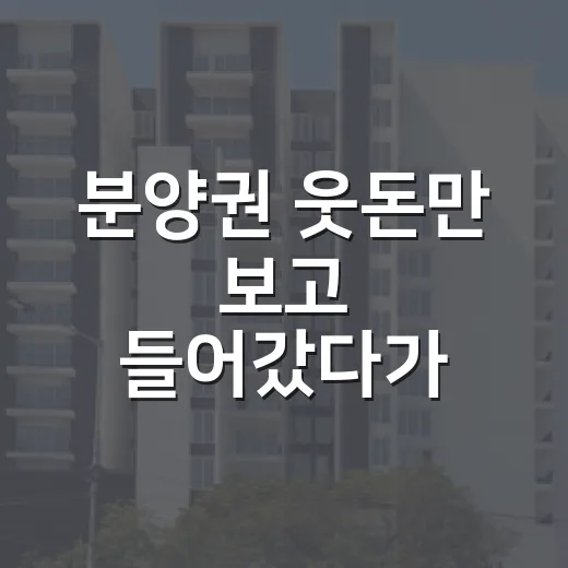 분양권 웃돈만 보고 들어갔다가 잔금 앞에서 식은땀 난 이야기 - 요약