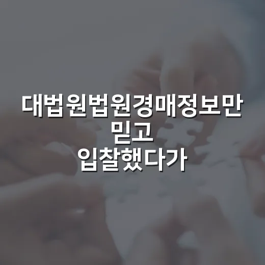 대법원법원경매정보만 믿고 입찰했다가 현장에서 배운 진짜 이야기 - 요약