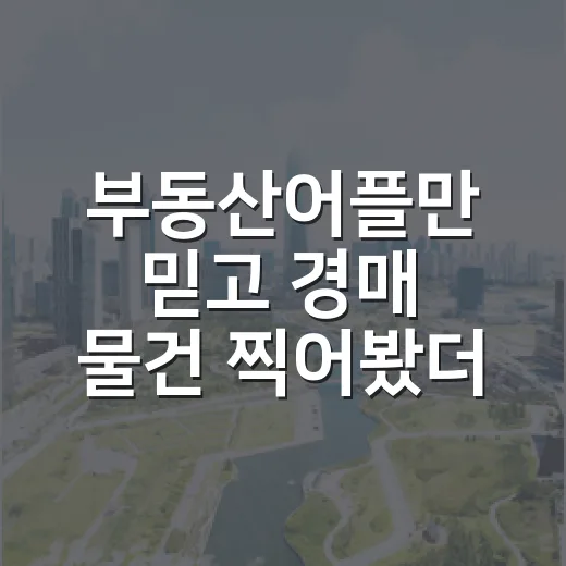 부동산어플만 믿고 경매 물건 찍어봤더니 현장에서 바로 티가 났습니다 - 요약