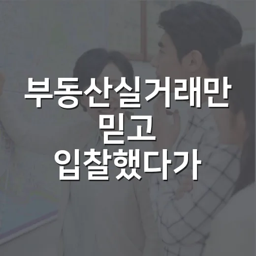부동산실거래만 믿고 입찰했다가 잔금날 식은땀 난 이야기 - 요약