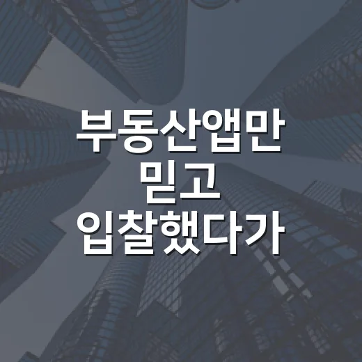 부동산앱만 믿고 입찰했다가 현장에서 식은땀 난 이야기 - 요약