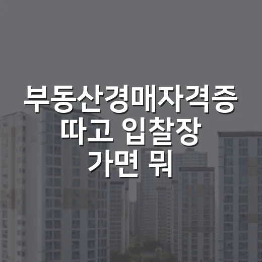 부동산경매자격증 따고 입찰장 가면 뭐가 달라질까, 현장에서 느낀 진짜 이야기 - 요약