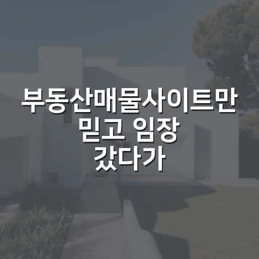 부동산매물사이트만 믿고 임장 갔다가 헛걸음한 날의 진짜 이야기 - 요약
