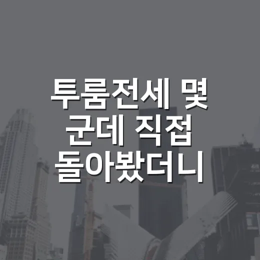 투룸전세 몇 군데 직접 돌아봤더니, 싼 방보다 무서운 방이 따로 있었습니다 - 요약