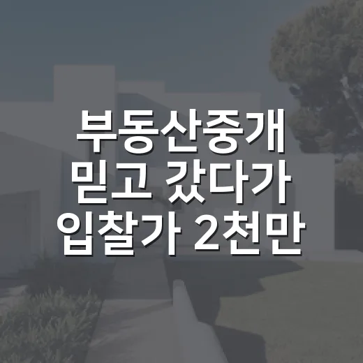 부동산중개 믿고 갔다가 입찰가 2천만 원 높게 쓸 뻔한 이야기 - 요약