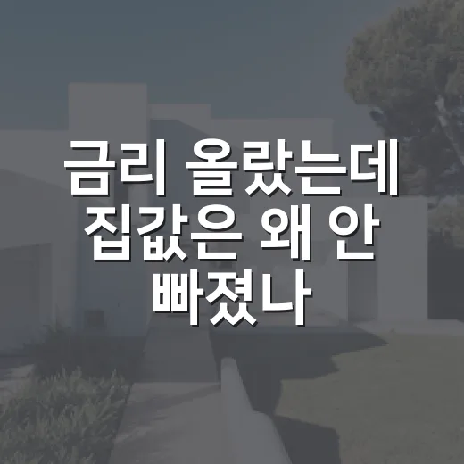 금리 올랐는데 집값은 왜 안 빠졌나, 입찰장에서 직접 겪은 진짜 이야기 - 요약