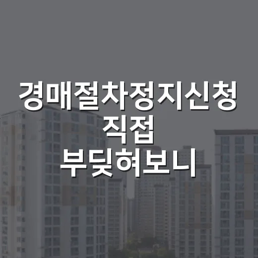 경매절차정지신청 직접 부딪혀보니, 입찰자도 채무자도 놓치면 돈 깨집니다 - 요약