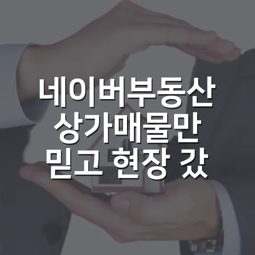 네이버부동산 상가매물만 믿고 현장 갔다가 발품값 날린 이야기 - 요약