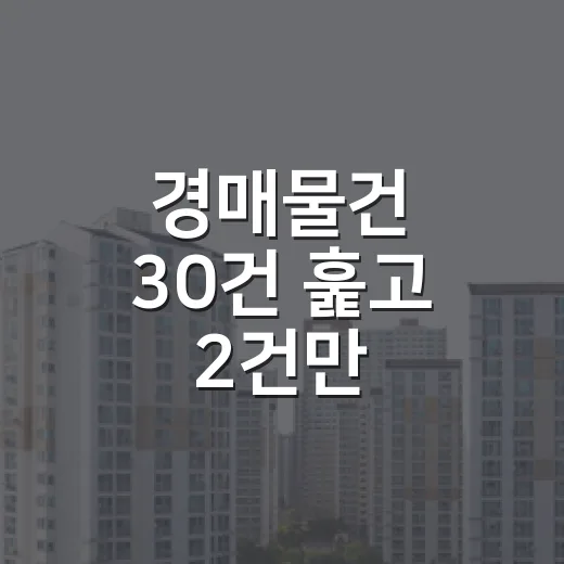 경매물건 30건 훑고 2건만 남겨봤더니 보이는 것들 - 요약