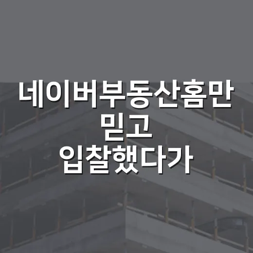 네이버부동산홈만 믿고 입찰했다가 식은땀 났던 진짜 이야기 - 요약