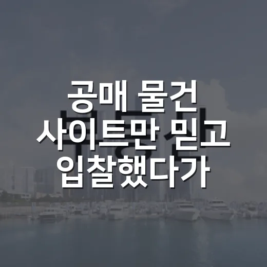 공매 물건 사이트만 믿고 입찰했다가 현장에서 식은땀 난 이야기 - 요약