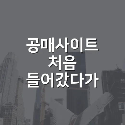 공매사이트 처음 들어갔다가 입찰표 쓰기 전 멈춘 이야기 - 요약