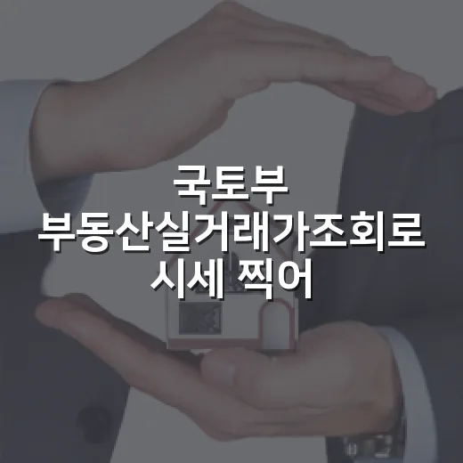 국토부 부동산실거래가조회로 시세 찍어봤더니 입찰가가 달라졌다 - 요약