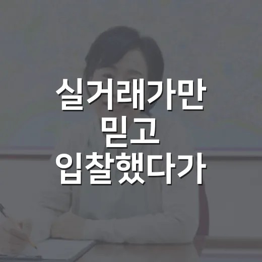 실거래가만 믿고 입찰했다가 식겁한 날, 부동산실거래가조회 보는법의 진짜 이야기 - 요약
