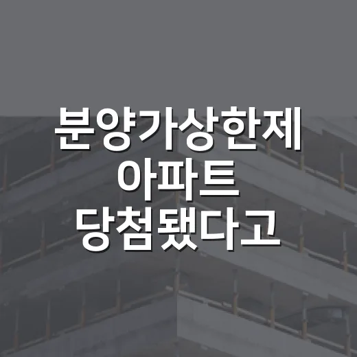 분양가상한제 아파트 당첨됐다고 끝난 줄 알았다가 돈 묶인 사람들 이야기 - 요약