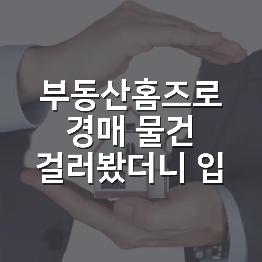 부동산홈즈로 경매 물건 걸러봤더니 입찰표 쓰기 전 보인 것들 - 요약